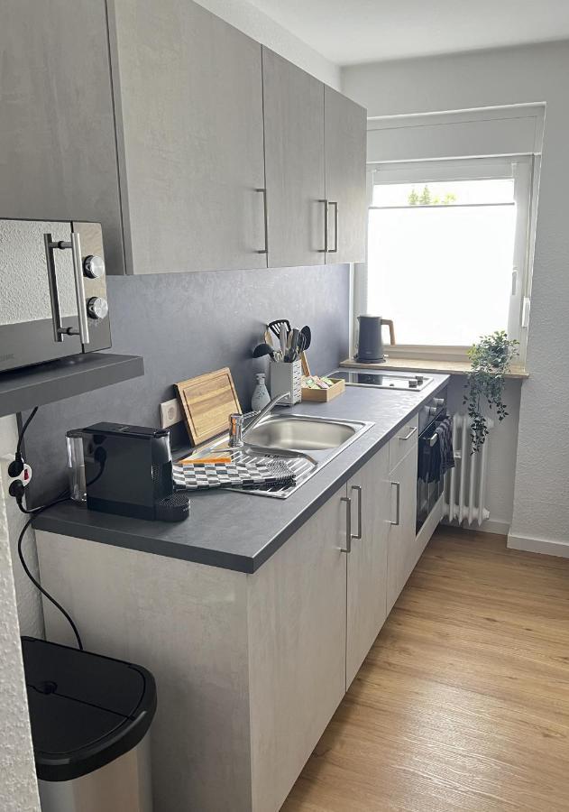 M&d Naehe Volkspark Mit Balkon - Netflix - Kueche Apartment Kaiserslautern